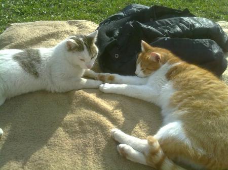 Bild zu 
