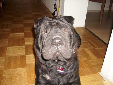 Bild zu