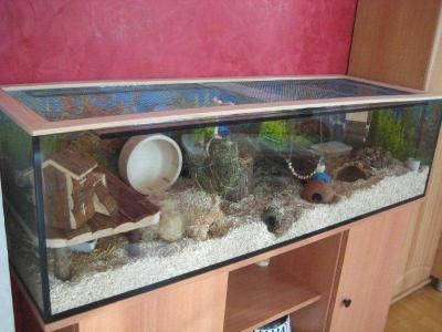 Bild zu aus Aquarium Hamsterbehausung gemacht... - Haustiere
