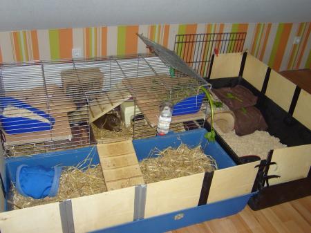 Bild zu 