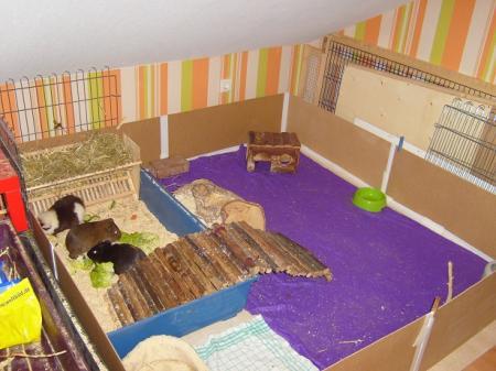 Bild zu 