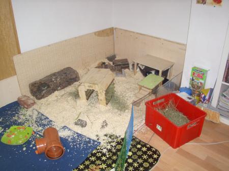 Bild zu 