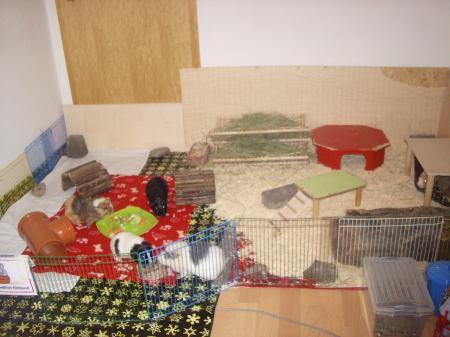 Bild zu 