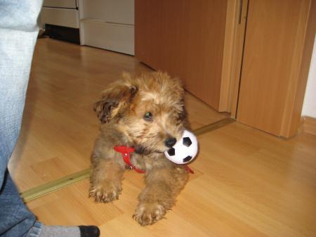 Bild zu 