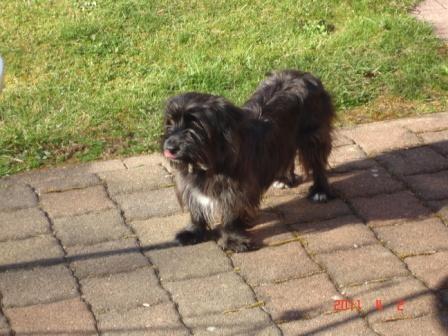 Bild zu 
