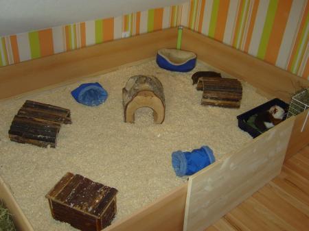 Bild zu 