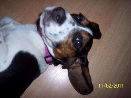 Bild zu 