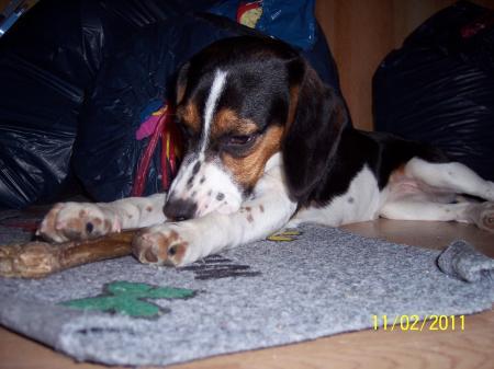 Bild zu 