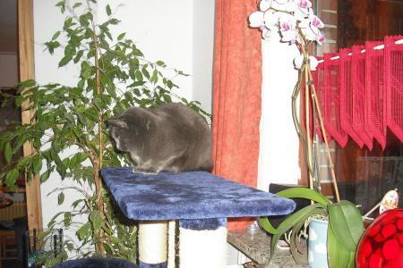 Bild zu