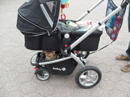 Bild zu 