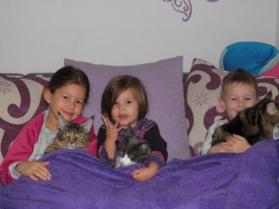 Bild zu Meine Kids + Fellnasen - Haustiere