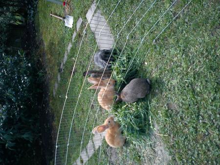 Bild zu 
