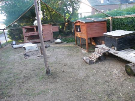 Bild zu 