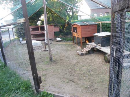 Bild zu 