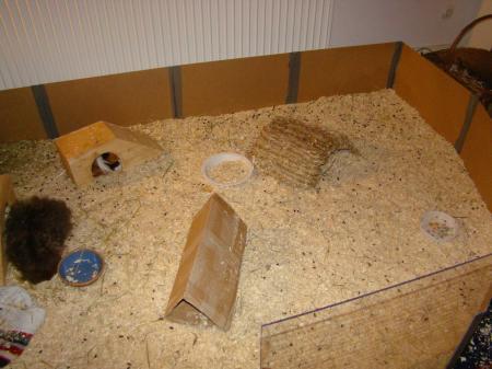 Bild zu 