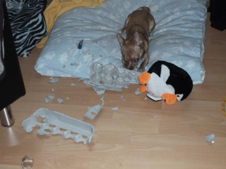 Bild zu 