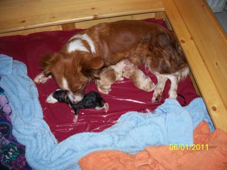 Bild zu 