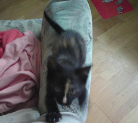Bild zu 