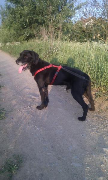 Bild zu 