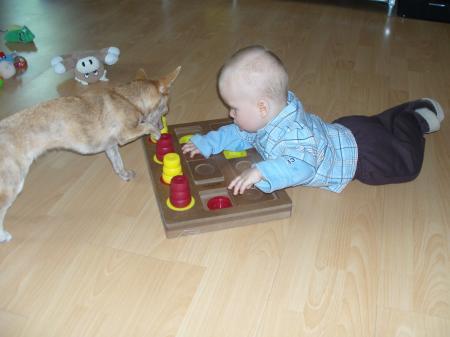 Bild zu 