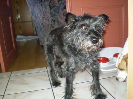 Bild zu