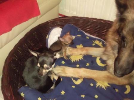 Bild zu