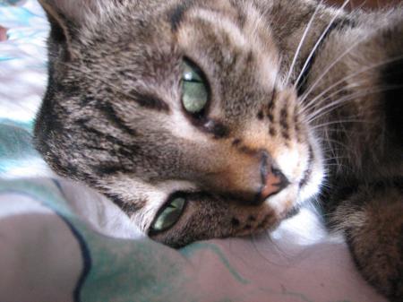 Bild zu 