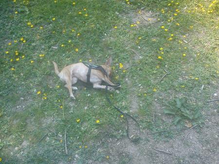 Bild zu