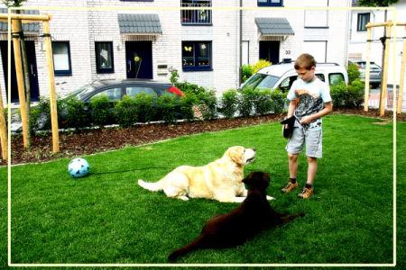 Bild zu 