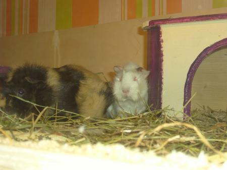 Bild zu