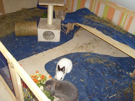 Bild zu