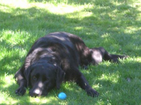 Bild zu
