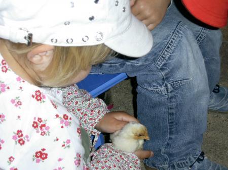 Bild zu