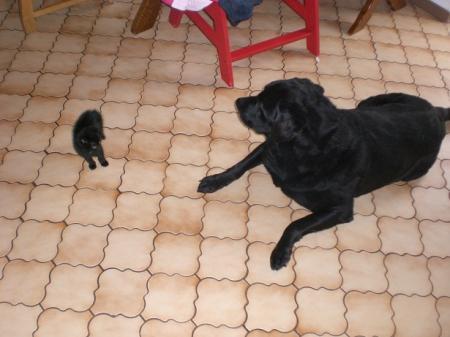Bild zu 