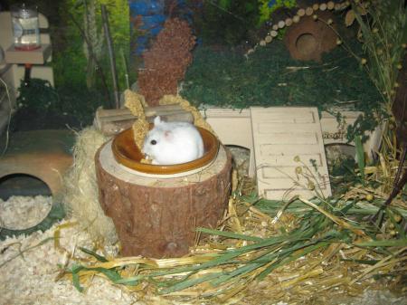 Bild zu 