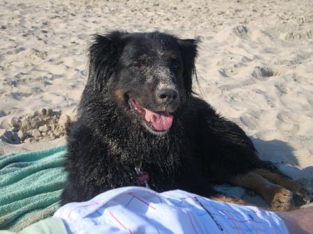 Bild zu
