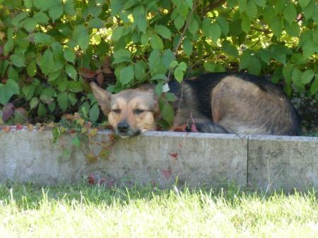 Bild zu