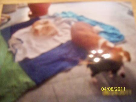 Bild zu 