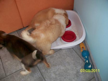 Bild zu 