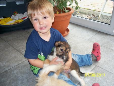 Bild zu 