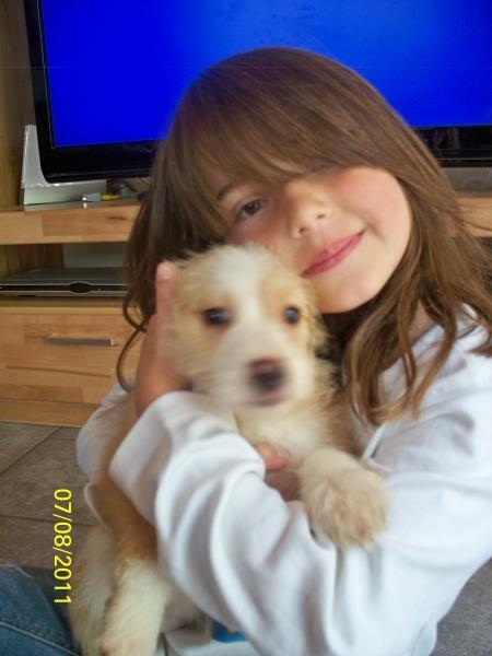 Bild zu 