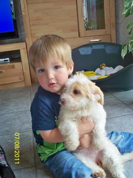 Bild zu 