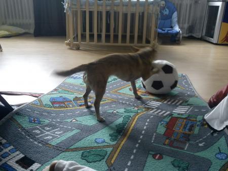 Bild zu