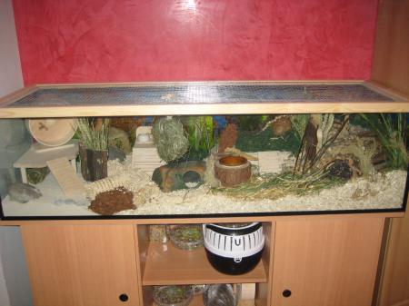 Bild zu