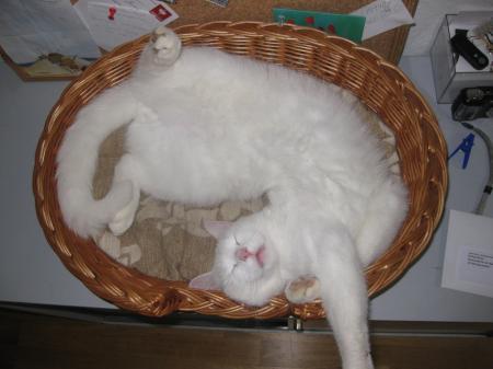 Bild zu