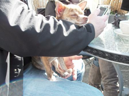 Bild zu 