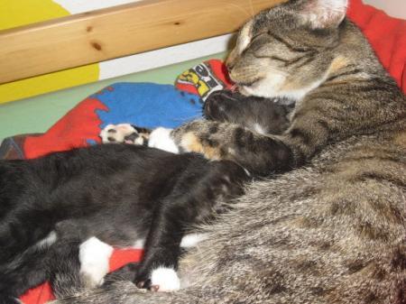 Bild zu