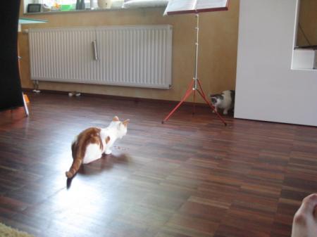 Bild zu