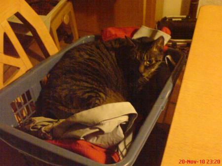 Bild zu 