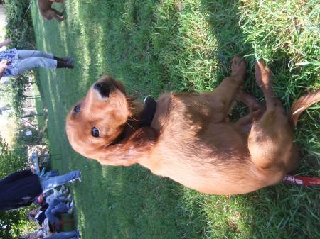 Bild zu 